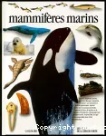 Mammifères marins