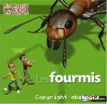 Les fourmis
