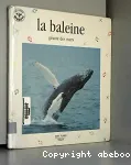 La baleine, géante des mers