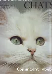 La passion des chats