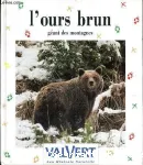 L'ours brun : géant des montagnes