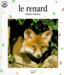 Le renard, rôdeur solitaire