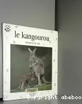 Le kangourou, champion du saut