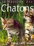 La passion des chatons